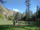 photo thumbnail #9