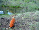 photo thumbnail #10