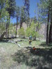 photo thumbnail #12