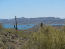 photo thumbnail #11