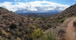 photo thumbnail #11