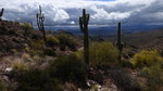 photo thumbnail #10