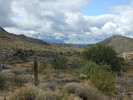 photo thumbnail #7