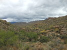 photo thumbnail #9