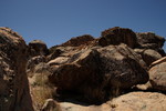 photo thumbnail #11