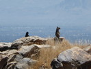 photo thumbnail #12