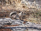 photo thumbnail #14