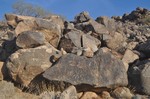 photo thumbnail #3