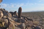 photo thumbnail #5