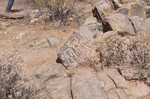 photo thumbnail #11