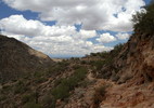 2015-05-16 :1: Los Lomitas - Kiwanis - Ranger Loop :: joebartels