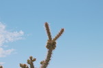 photo thumbnail #2