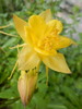 photo thumbnail #11