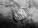 photo thumbnail #4