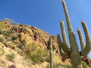 photo thumbnail #12