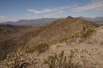 photo thumbnail #10