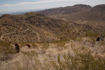 photo thumbnail #14