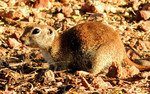 photo thumbnail #11