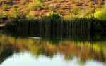 photo thumbnail #13