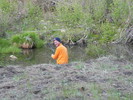 photo thumbnail #6