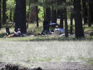 recent photo