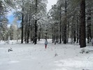 photo thumbnail #3