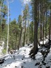 photo thumbnail #7