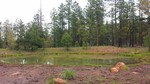 photo thumbnail #6