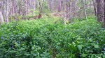 photo thumbnail #14