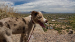 photo thumbnail #1