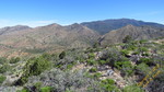 photo thumbnail #15