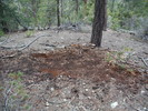 photo thumbnail #6