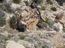photo thumbnail #5
