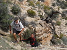 photo thumbnail #6