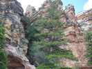 photo thumbnail #7
