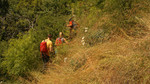 photo thumbnail #5