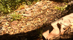 photo thumbnail #13