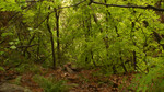 photo thumbnail #14