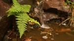 photo thumbnail #15