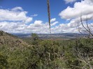 photo thumbnail #6