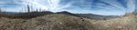 photo thumbnail #8