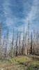 photo thumbnail #10