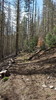 photo thumbnail #13