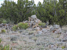 photo thumbnail #2