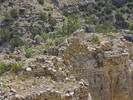 photo thumbnail #11