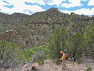 photo thumbnail #10