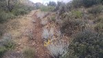 photo thumbnail #12