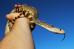 photo thumbnail #4