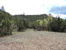 photo thumbnail #14