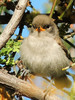photo thumbnail #12